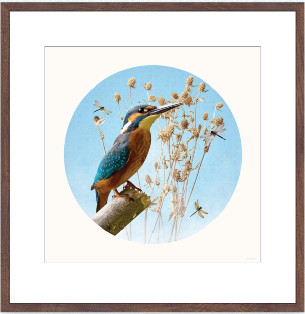 Wall art Mister Kingfisher