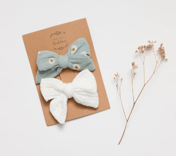 Hair clip Set of 2