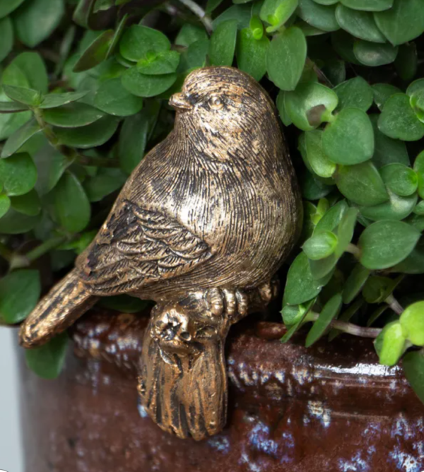 Hanging bird FCC