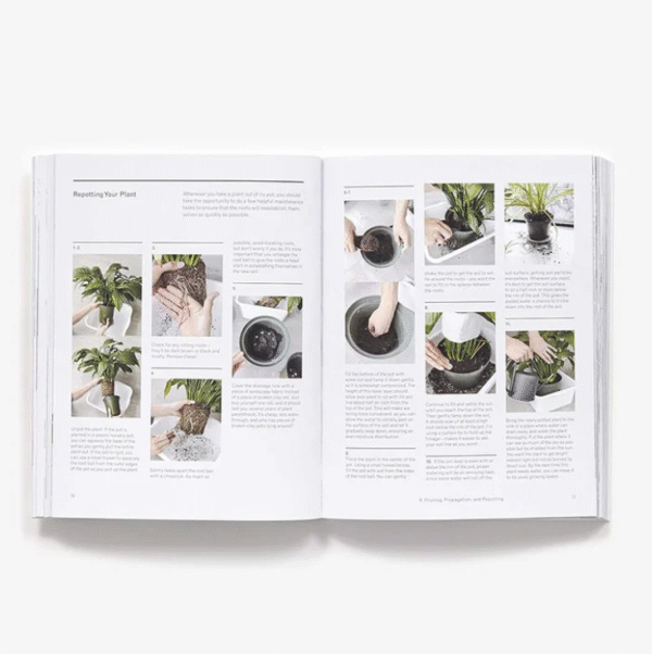 Book New plant parent - Image 3