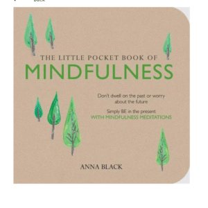 Book The little pocket book of mindfulness