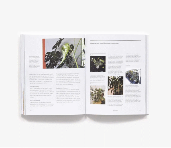 Book New plant parent - Image 2
