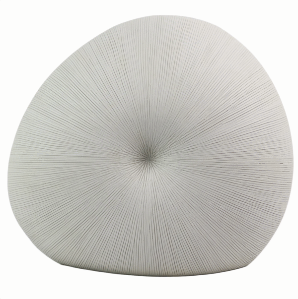 Roshi ceramic - Image 5