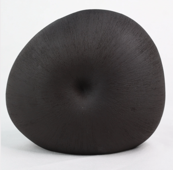 Roshi ceramic - Image 6
