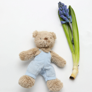 Baby Honey bear in overalls