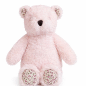 Baby Lily & George Littlefoot bear