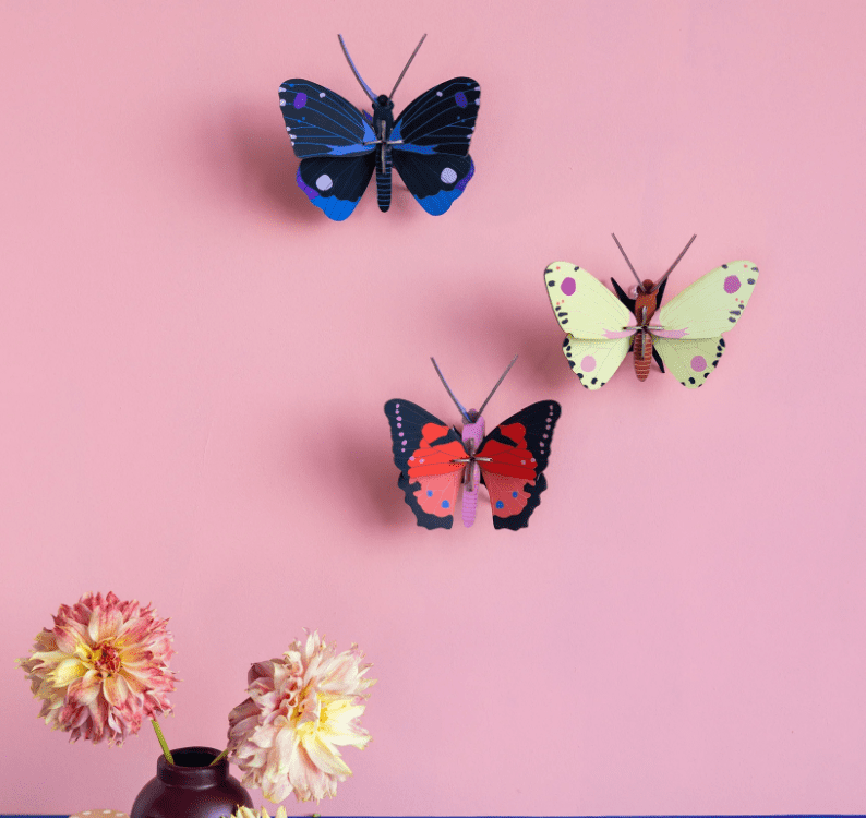 Wall art Studio roof Luzerne butterfly