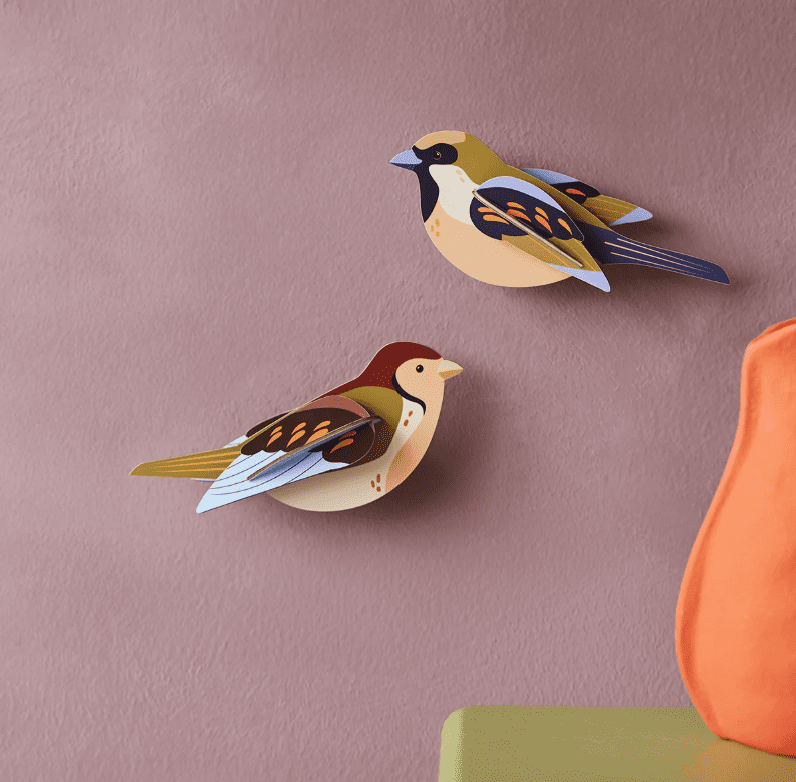 Wall art Studio Roof Sparrow bird