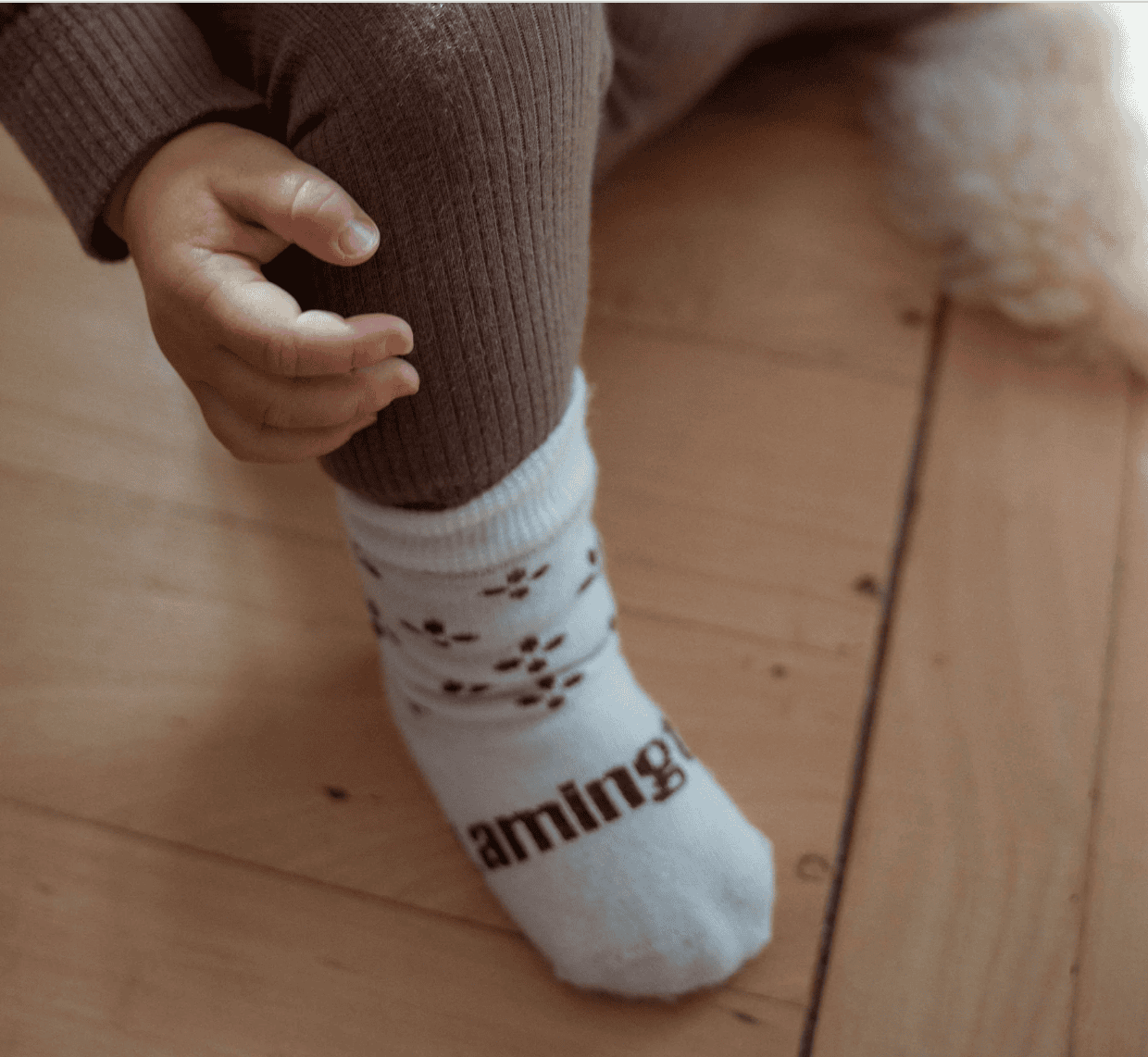 Baby sock Lamington Autumn